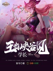 學長,王者峽谷見