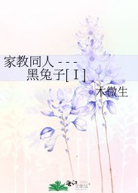 家教同人 - - - 黑兔子[Ⅰ]